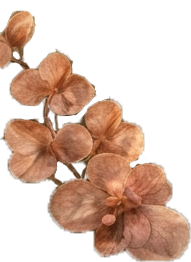 Декоративный цветок - украшение сайта